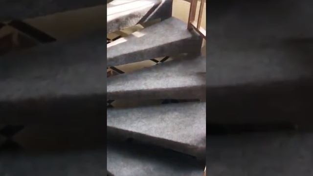 Ковровое покрытие на лестницу | kovrodvor.ru смотреть онлайн