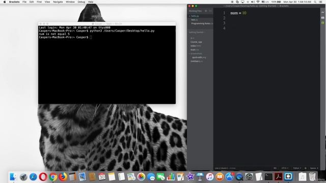 Tutorial #42:  Using NOT Equal with if, else Statements | Python Course for Beginners to Experts!