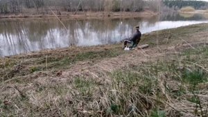 Рыбалка, звуки природы, релакс