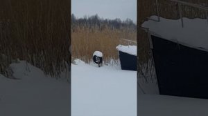 Суходольское озеро Удальцово lake in russia