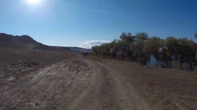 Марафон великой степи  Tengri Ultra 70 km  Первый опыт ультрамарафона