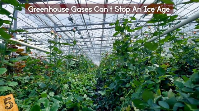 Most MYSTERIOUS Facts About The ICE AGE! смотреть онлайн