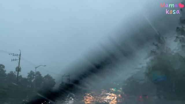 한국살이k-vlog??첫 혈당검사?몰래 디저트 먹방?간편 집밥 만들기?역대급 비☔️강남역 피부과,관공서 투어?원당 시장?일본물가와 비교하며 농협 하나로마트 장보기?리코 생일?#3