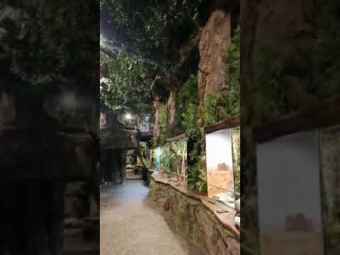 Скалы  водопад  гроты Это Лого парк. Каменск-Шахтинский. мастер Ализадэ Александр..