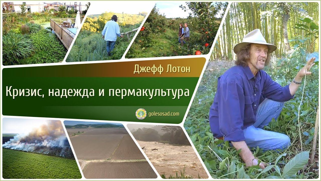 ДЖЕФФ ЛОТОН "КРИЗИС, НАДЕЖДА И ПЕРМАКУЛЬТУРА!"