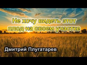 Не хочу видеть этот плод на своем участке / Христианские проповеди АСД / Плугатарев Дмитрий