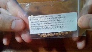 Перец Carolina Reaper