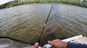 Обидный обрыв! Рыбалка на Оке!