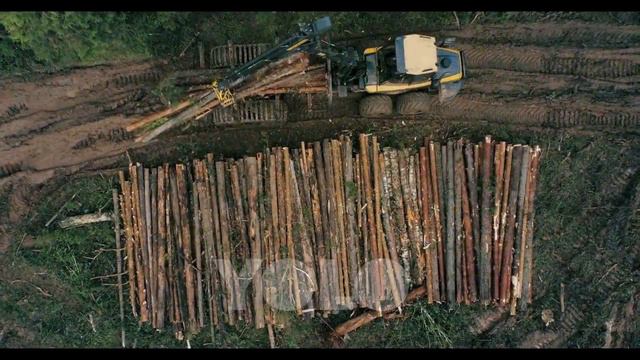 YOLO - Заготовка дерева для производства мебели. смотреть онлайн