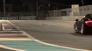 Snoop Dog- Смок вид эври дэй