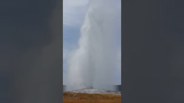 The tallest geyser in Yellowstone National Park, Wyoming