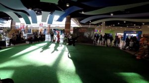 Время Танца ТРЦ "Планета" Новокузнецк