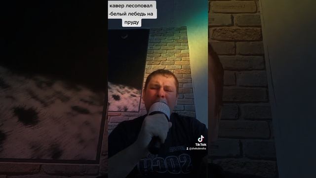 кавер ЛЕСОПОВАЛ -а белый лебедь на пруду смотреть онлайн