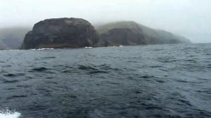 Exploring Puffin and Scarriff Islands, County Kerry, Ireland