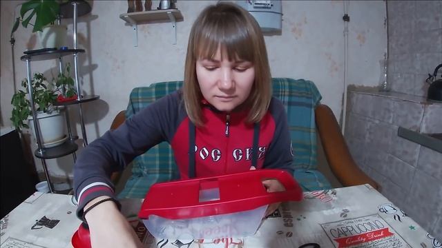 Домашний йогурт в Oberhof Fruchttrockner B-53