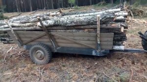 Синтай 244 ХТ и дрова