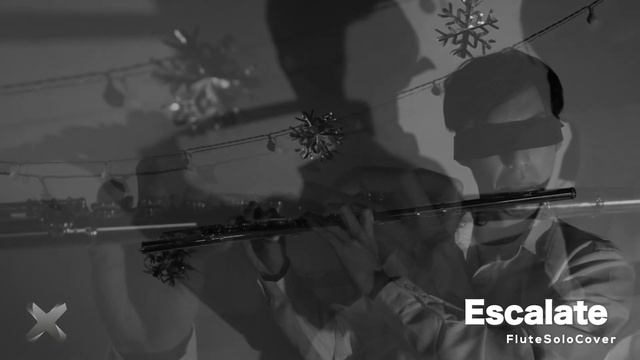 【FluteSolo】Escalate/AIMER - 『NieR:Automata Ver1.1a』ノンクレジットオープニングムービー OP | TTM winds смотреть онлайн