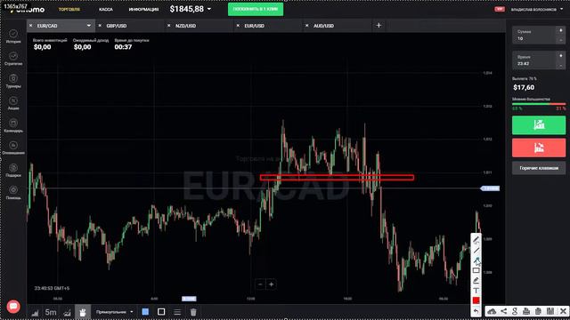 Курс начинающего трейдера. Бинарные опционы или форекс. Заработок в интернете смотреть онлайн