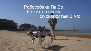 Робособака RaiBo способна бегать по песчаному пляжу [новости науки и космоса]