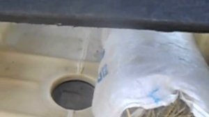 мой ящик для перевозки маленьких поросят