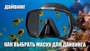 Как выбрать маску для дайвинга. Простые советы.