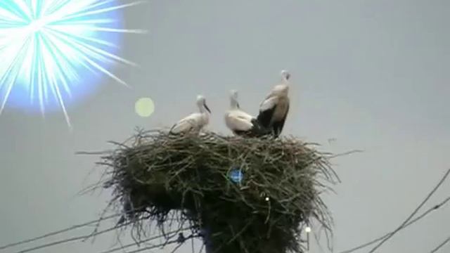 Козятин Гурівці домой клип.avi смотреть онлайн