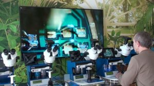 Установка микросварки толстой алюминиевой проволокой ES-4029T - обучение