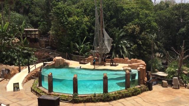 Jungle Park Парк орлов на Тенерифе шоу морских котиков смотреть онлайн