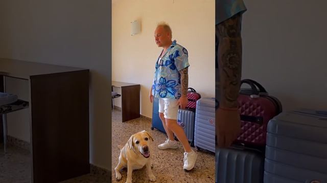 Девочки все одинаковые! Чемоданы одежды/ошейников для фото. Полный выпуск на канале. смотреть онлайн