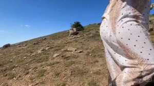 Nomadic life in the style of Iranian mountain village