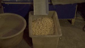 Гранулятор ГУ-15. Гранулирование хвойных опилок
