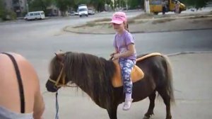 песенка про лошадку -2