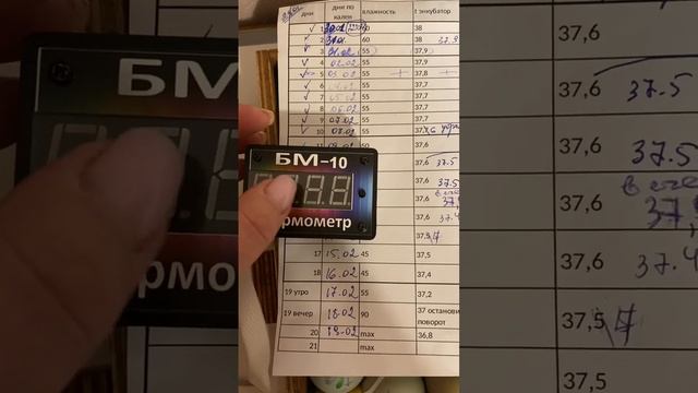 Инкубация цыплят породы Амераукана и Синь Синь Дянь смотреть онлайн