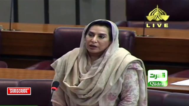 National Assembly  |   Fehmida Mirza criticized government