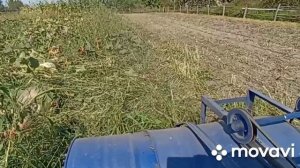 Скаут Т 18. МУЛЬЧЕР.