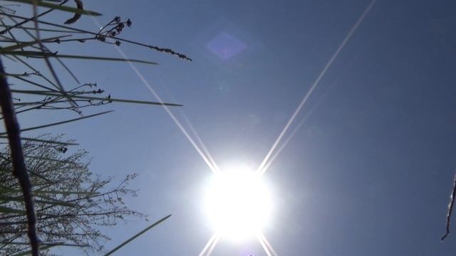 Проверка донок за 3 дня, черёмуха зацвела, встретил оленей смотреть онлайн