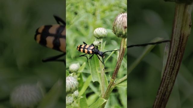 VN20220711_175455(0).mp4