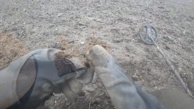 Это поле преподносит СЮРПРИЗЫ!!! Коп и находки на металлоискатель.