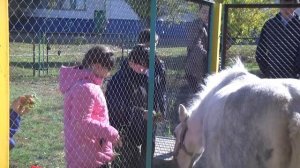 В школе Волгоградской области детей приучают к сельскому хозяйству и любви к животным