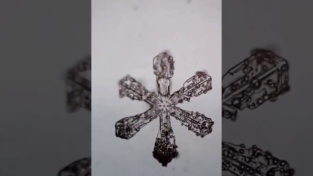 The process of melting snowflakes under a microscope