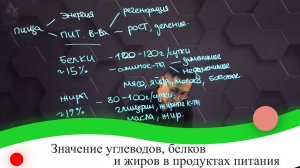 Значение углеводов, белков и жиров в продуктах питания. 7 класс.