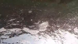 На дне ОЗЕРА нашли ЭТО