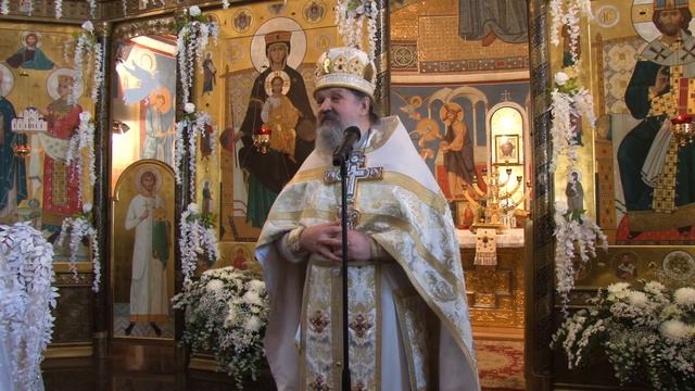 ПРОПОВЕДИ: Что значит «Святая Церковь Православная»? (20.05.18) смотреть онлайн