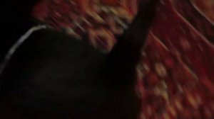 Машечка, поговорим?