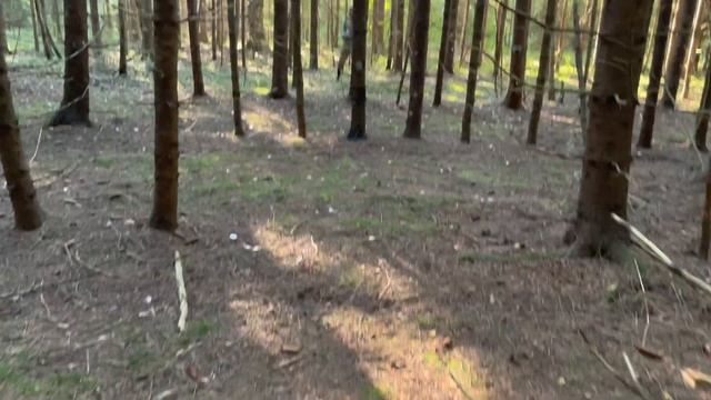 Грибной сезон 2021!Калужское колосовое грибное безумие в августе продолжается!230 штук белых грибов смотреть онлайн