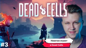 ГДЕ СЛОЖНЕЕ В БРУТАЛЬНОСТИ, ЖИВУЧЕСТИ, ТАКТИКЕ Dead Cells, прохождение #3