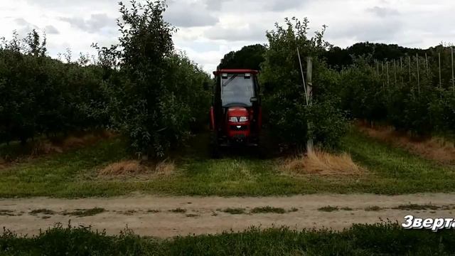 Тележка для яблок смотреть онлайн