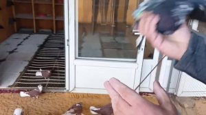 В гостях у Строителева Олега Петровича. 1 часть.