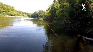 ЗОЛОТО для ХИЖАКА.  Щука та окунь на спінінг.  Риболовля.  Сплав.  Сейм 2023