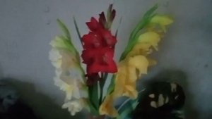 Дети на детском пляже на голубых озёрах я с работы к ним🏖️🌅😊